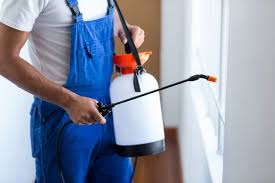 Best Fumigation Services  in Jamul, CA